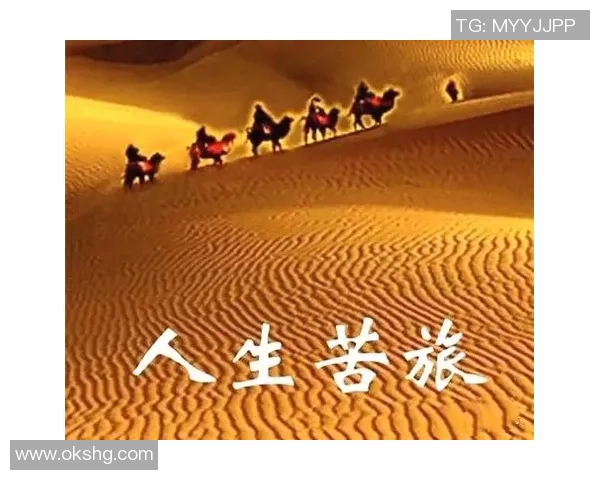 深度对话：黄静的排球人生与梦想追逐的精彩旅程